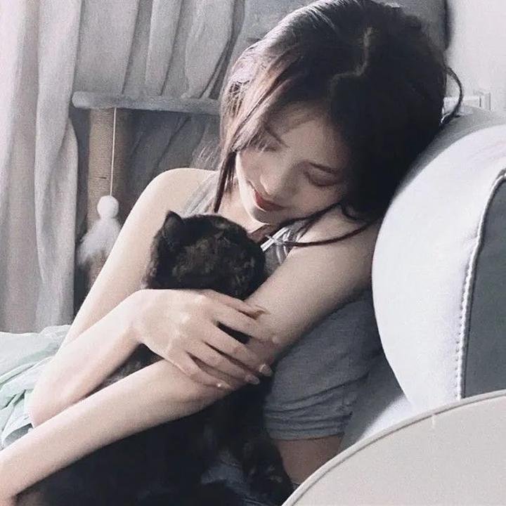 幽游白书 夜叉的阴谋篇